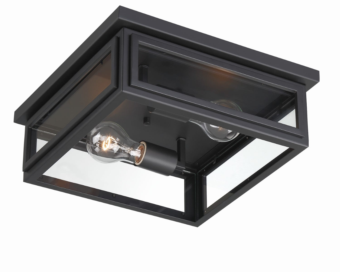 Crystorama BYR-80100-MK Byron 2 Light Outdoor Ceiling Mount - Matte Black