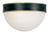 Crystorama CAP-8503-MK-TG Brian Patrick Flynn for Crystorama Capsule 2 Light Outdoor Ceiling Mount - Matte Black and Textured Gold