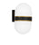 Crystorama CAP-8504-MK-TG Brian Patrick Flynn for Crystorama Capsule 2 Light Outdoor Wall Mount - Matte Black and Textured Gold