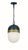 Crystorama CAP-8507-MK-TG Brian Patrick Flynn for Crystorama Capsule 1 Light Outdoor Pendant - Matte Black and Textured Gold