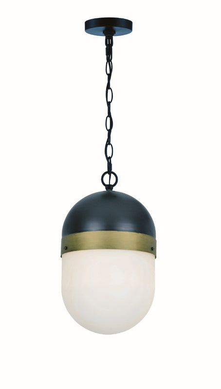 Crystorama CAP-8507-MK-TG Brian Patrick Flynn for Crystorama Capsule 1 Light Outdoor Pendant - Matte Black and Textured Gold