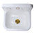 Nantucket Sinks CI-2218-FBSBSET Cast Iron Finished Bottom Wallmount Utility Sink Set with Drain