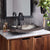 Native Trails CPS857 Kohani Bathroom Sink In Polished Nickel