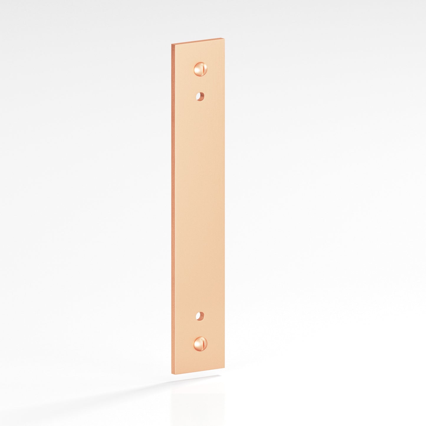 Colonial Bronze Flat Back Plate with Decorative Screws