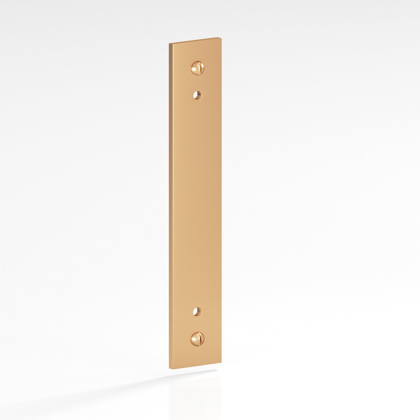 Colonial Bronze Flat Back Plate with Decorative Screws