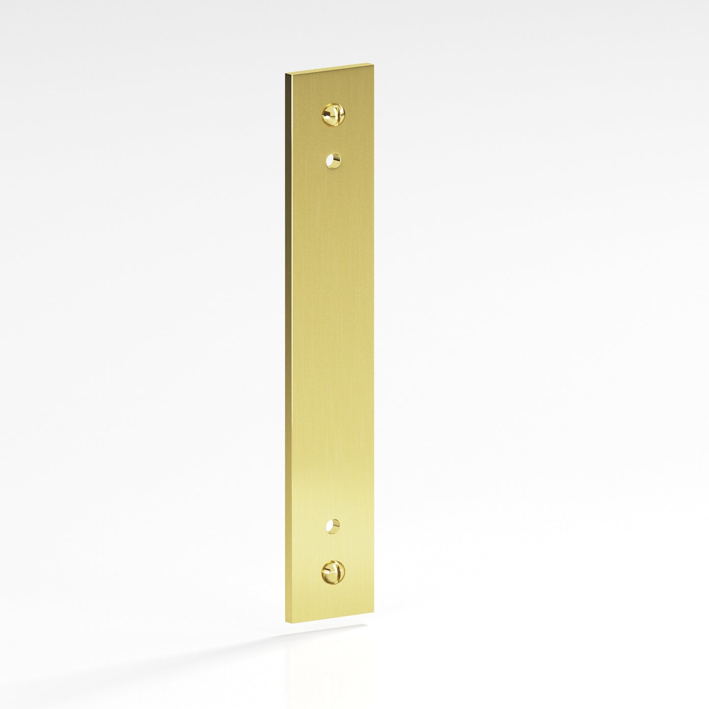 Colonial Bronze Flat Back Plate with Decorative Screws