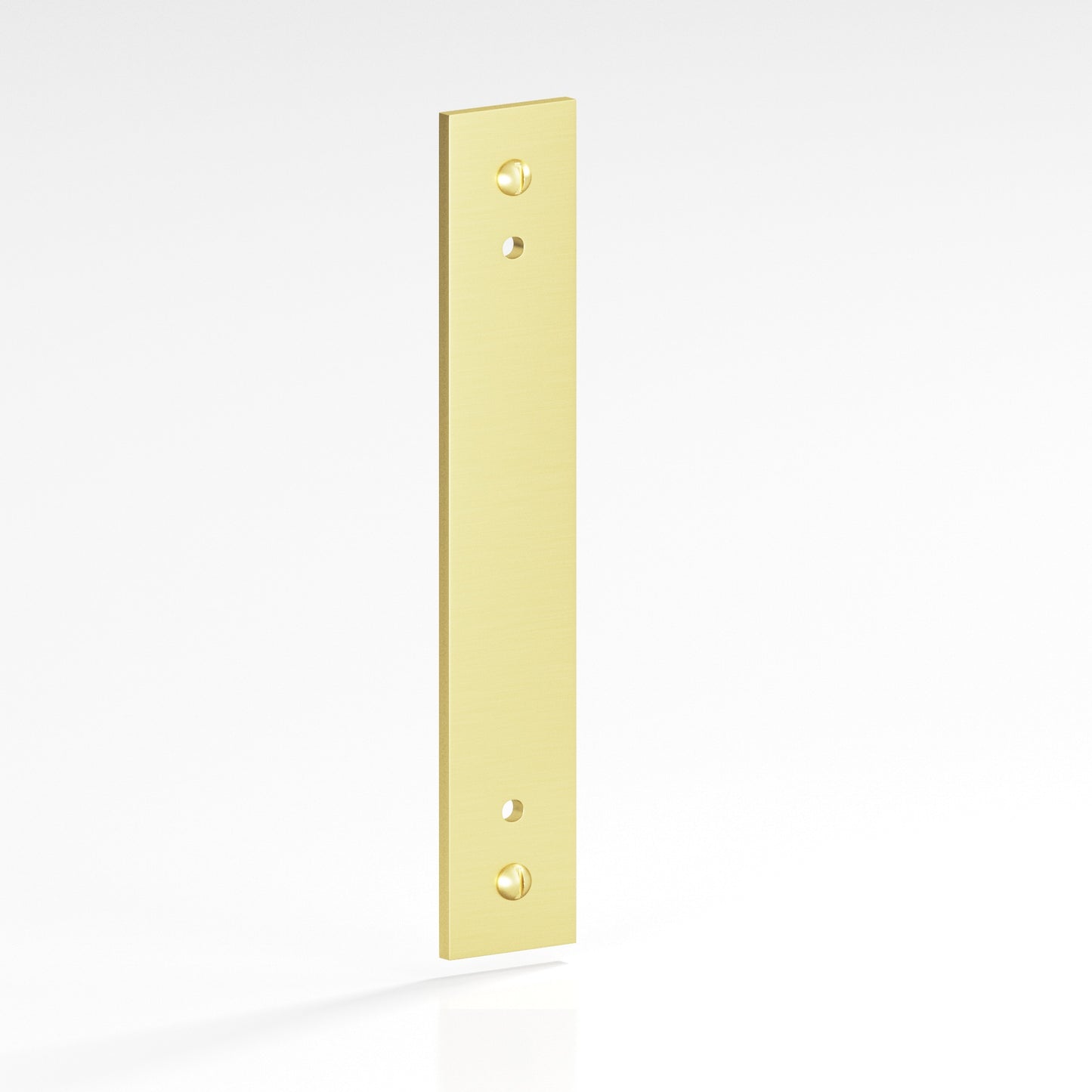 Colonial Bronze Flat Back Plate with Decorative Screws