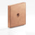 Colonial Bronze Square Flat Back Plate