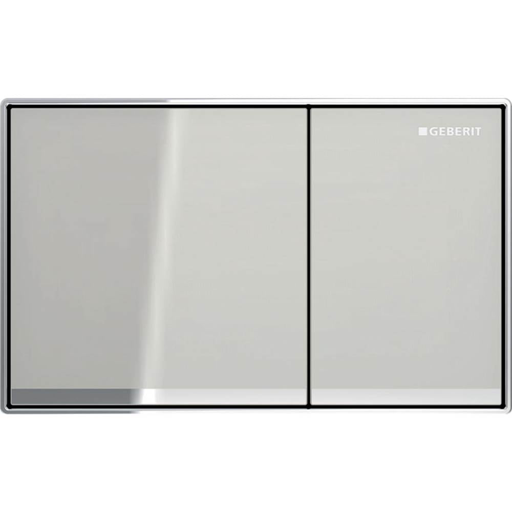 Geberit 115-081 Actuator Plate Omega60, For Dual Flush, Surface-Even