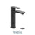 Tenzo DE12M-P Delano Single Hole Tall Lavatory Faucet With Drain