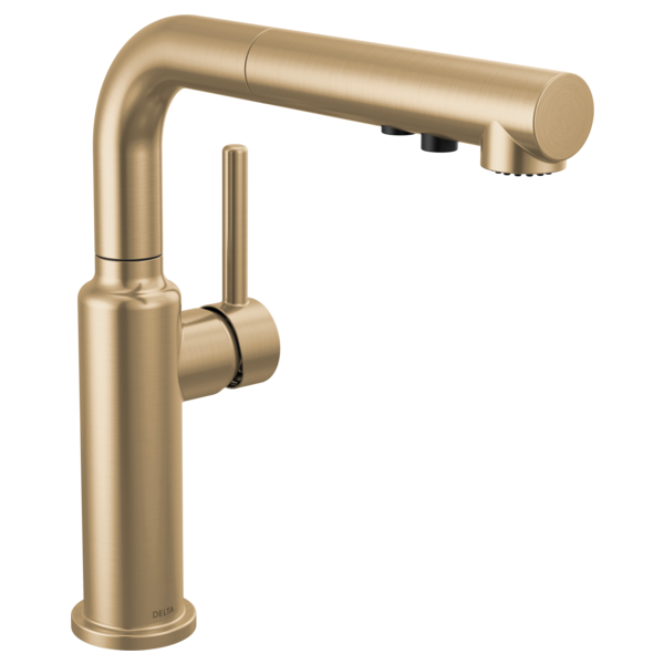 Delta 16879-DST Single Handle Pull-Out Kitchen Faucet