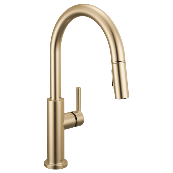 Delta 19867LF Single Handle Pull-Down Kitchen Faucet