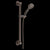 Delta 51900 ActivTouch 9-Setting Hand Shower with Traditional Slide Bar / Grab Bar