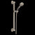 Delta 51900 ActivTouch 9-Setting Hand Shower with Traditional Slide Bar / Grab Bar