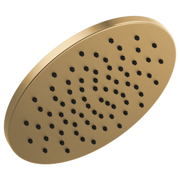 Delta 52158 Single-Setting Metal Raincan Shower Head