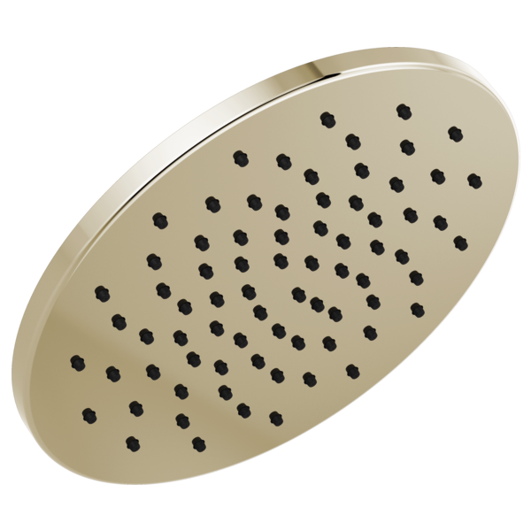 Delta 52158 Single-Setting Metal Raincan Shower Head