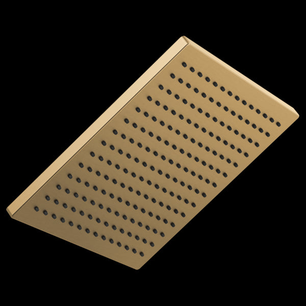 Delta 52159-25 Single-Setting Metal Raincan Shower Head