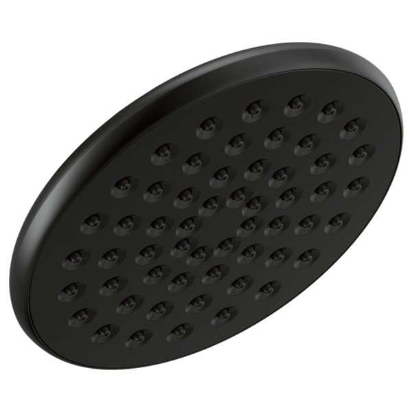 Delta 52433 Single-Setting Raincan Shower Head