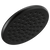 Delta 52433 Single-Setting Raincan Shower Head