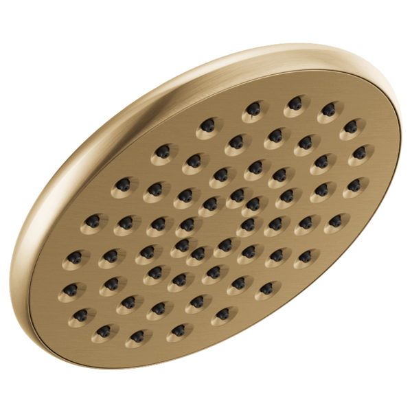 Delta 52433 Single-Setting Raincan Shower Head