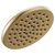 Delta 52433 Single-Setting Raincan Shower Head