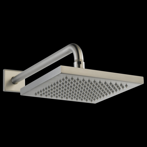 Delta 57740 Metal Raincan Shower Head Assembly