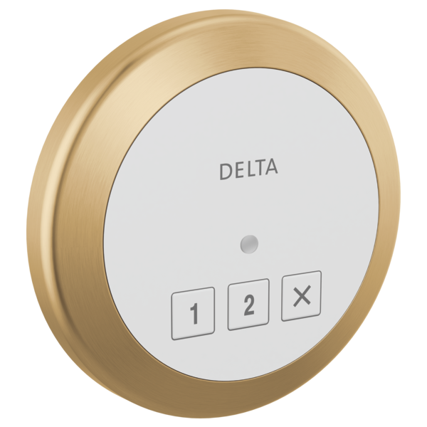 Delta 5CN-220R Round Exterior Steam Control