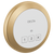 Delta 5CN-220R Round Exterior Steam Control