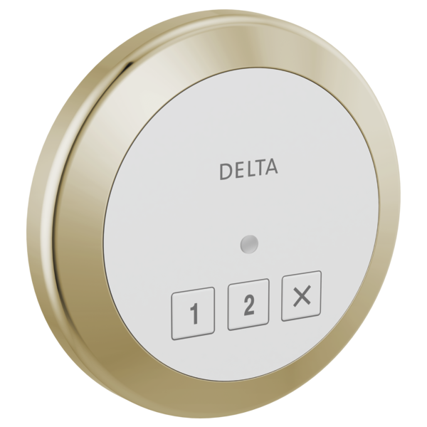 Delta 5CN-220R Round Exterior Steam Control