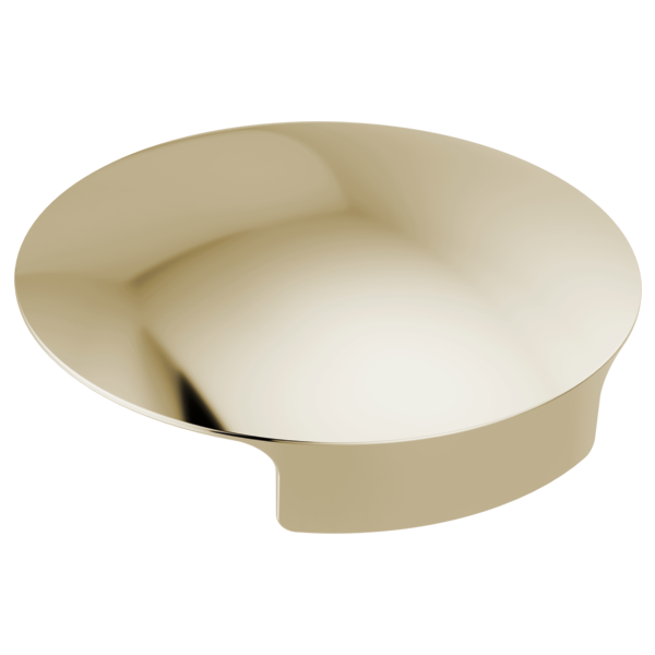 Delta RP101289 Glass Rinser Cover