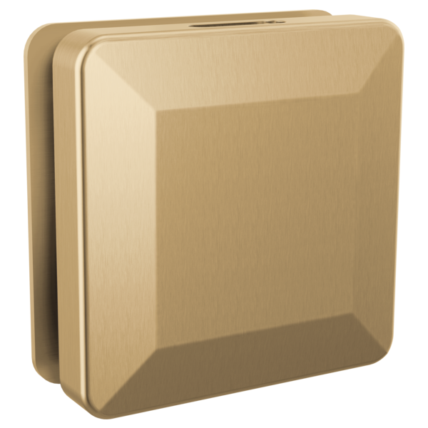 Delta RP103306 Square Steam Head