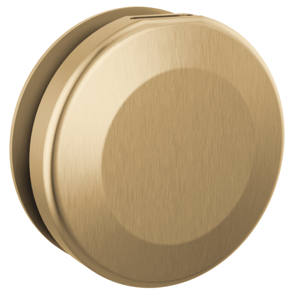 Delta RP103308 Round Steam Head