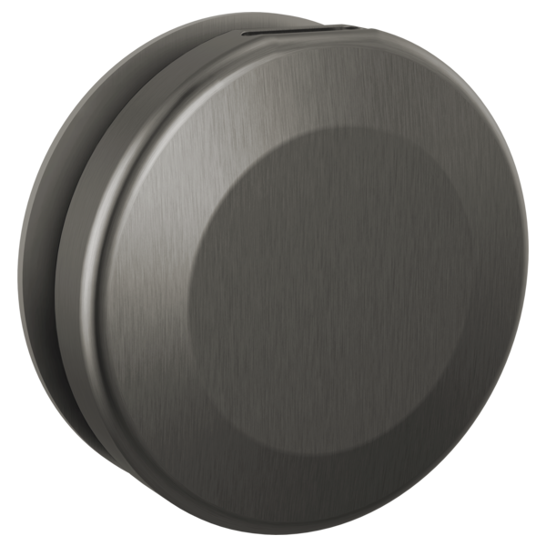 Delta RP103308 Round Steam Head