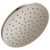 Delta RP103694 Single Setting Raincan