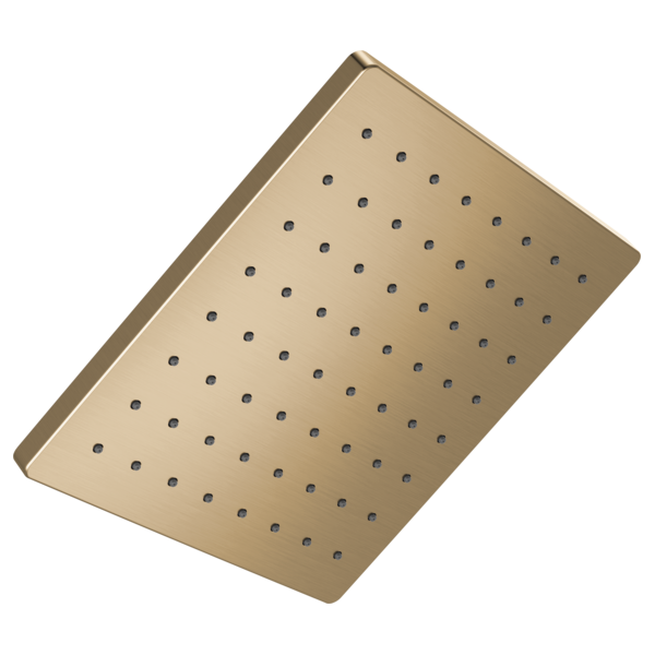Delta RP103699 Single Setting Raincan