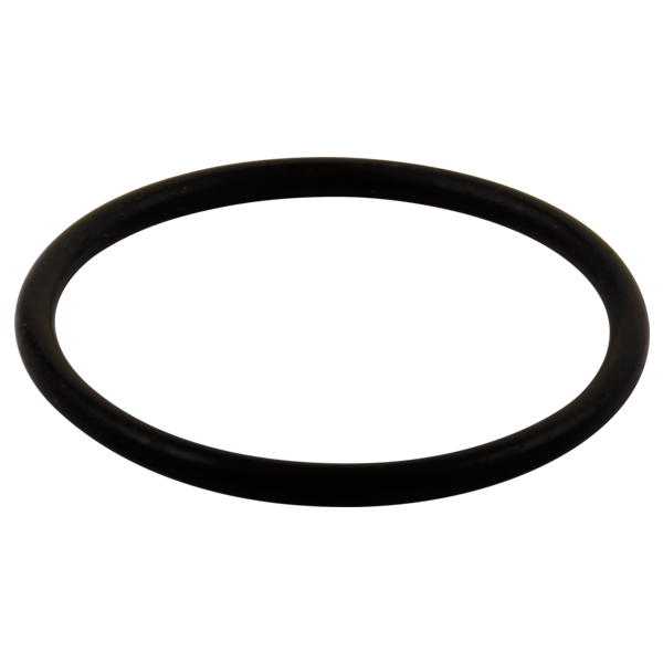 Delta RP23336 O-Ring - Large - All Monitor Series
