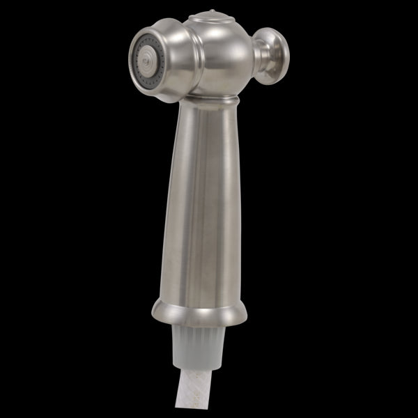 Delta RP37489 Side Spray & Hose Assembly