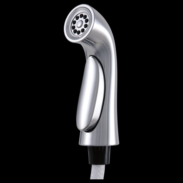 Delta RP53880 Side Spray & Hose Assembly