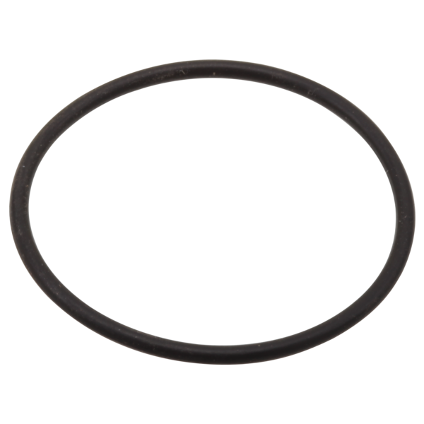 Delta RP54975 O-Ring