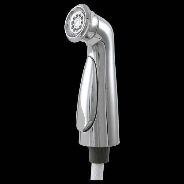 Delta RP72751 Side Spray & Hose Assembly - Parent