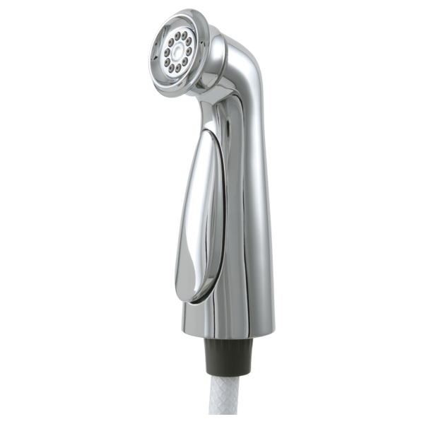 Delta RP72751 Side Spray & Hose Assembly - Parent