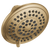 Delta RP78575 5-Setting Raincan Shower Head