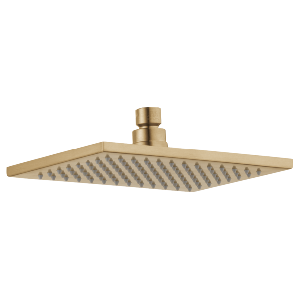 Delta RP91363 Shower Head