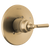Delta T14035 Monitor 14 Series Valve Only Trim