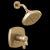 Delta T17T276 17 Thermostatic Shower Only
