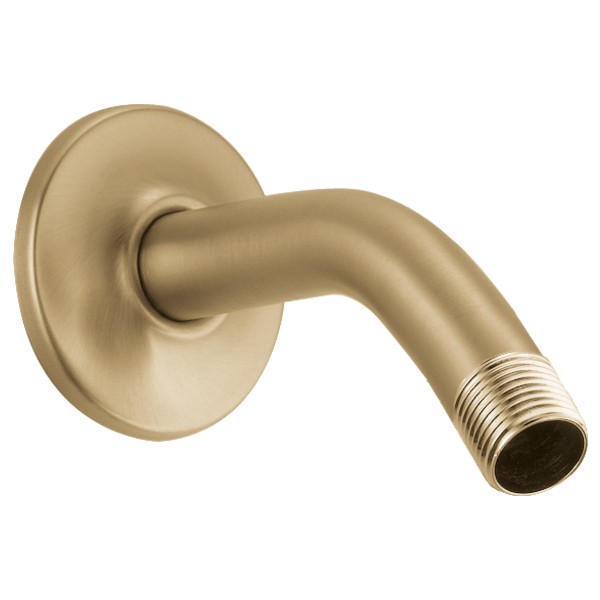 Delta U4993 Shower Arm & Flange