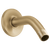 Delta U4993 Shower Arm & Flange