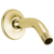 Delta U4993 Shower Arm & Flange