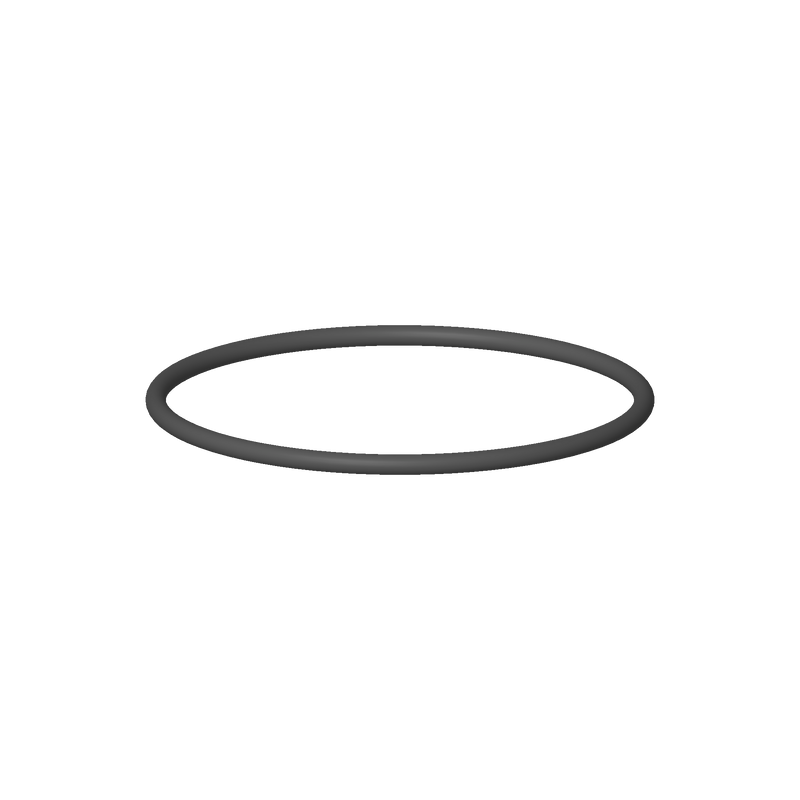 Dornbracht 09141015190 O-Ring 23 X 1 Mm