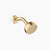 Dornbracht 28508404 Coya Showerhead